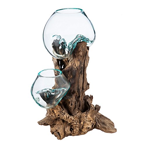 Cape Craftsmen 12" Hand-Blown Blue Tinted Bubble Glass On Natural Teak Driftwood Terrarium Kit | Home Décor Indoor Planter with Stand | Pot for Succulent and Plants - size: Large (With Stand)