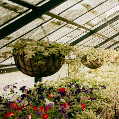 2 PCS Round Coco Liners Hanging Basket Liner Natural Replacement Coconut Fiber Liner for Hanging Basket Flower Pot (20 inch) - size: 20 inch