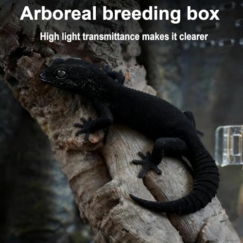 8" x 6"x 3.9" Mini Reptile Terrarium,Small Plastic Terrarium for Lizards Frogs Snakes,Transparent Spider Scorpion Insect Enclosure with Ventilation,for Pet Breeding Molting and Isolation Habitat