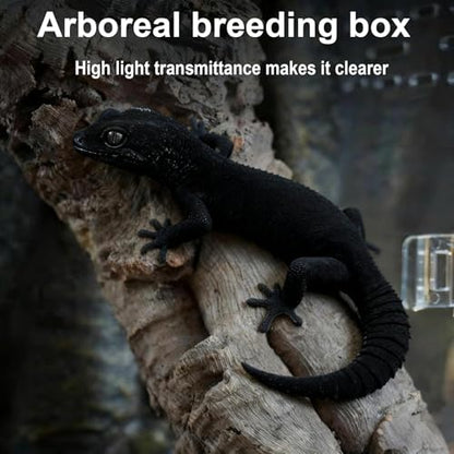 8" x 6"x 3.9" Mini Reptile Terrarium,Small Plastic Terrarium for Lizards Frogs Snakes,Transparent Spider Scorpion Insect Enclosure with Ventilation,for Pet Breeding Molting and Isolation Habitat