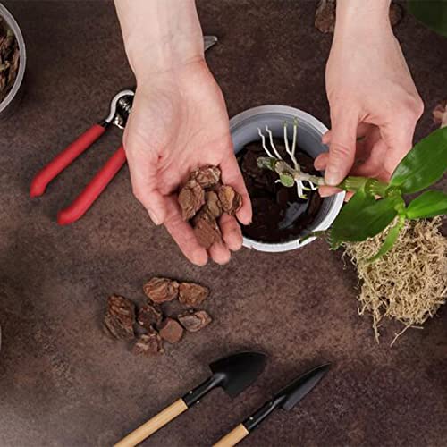 Doter Organic Orchid Potting Bark 1 QT, Featured Chunks Bark Garden Soil Amendment Mix for Proper Root Development of Phalaenopsis, Cattleyas and More