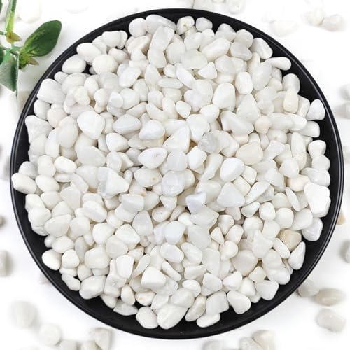 10LB Succulent and Cactus Gravel Pebbles, 3/8 Inch White Stones | Natural Decorative Polished Stones, River Rocks for Plants, Vases, Aquariums, Terrarium and Outdoor Gardening - color: White, size: 10 Pounds