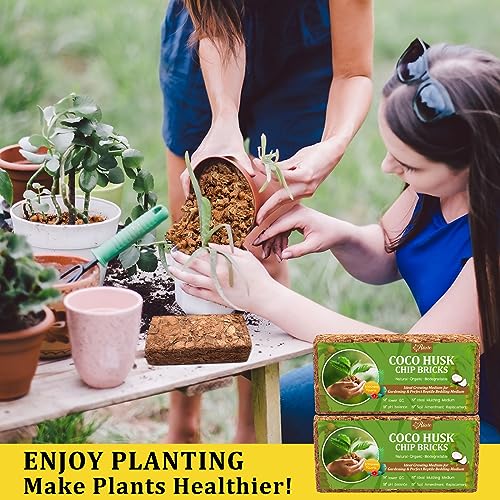 Riare 6 Pack Organic Coco Coir Chips for Plants, 6.6 lb Coconut Husk Bricks | Low EC & pH-Balanced Coco Husk Substrate with Drainage & Aeration, High-Expansion Mulch for Landscaping, Orchids & Soil Mix - size: 6 Pack