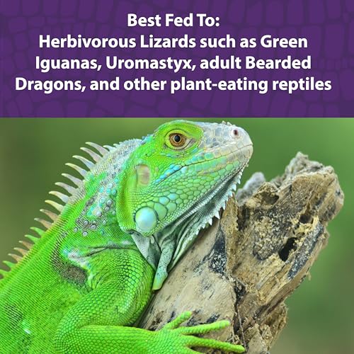 Mazuri® Herbivorous Reptile Diet | Food for Plant-Eating Herbivorous Lizards, Green Iguanas, Uromastyx Lizards | 8 Ounce (8 OZ) Bag