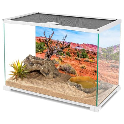 AWERT 72x16 inches Reptile Habitat Background Blue Sky Oasis Orange Desert Terrarium Background Durable Polyester Background | AWERT Orange Desert Durable Polyester Background - size: 72x16in/180x40cm