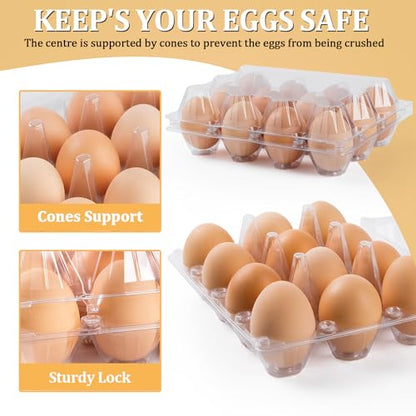 60 Pack Plastic Egg Cartons 12 Count, Clear Egg Cartons Cheap Bulk | Reusable Egg Holder for Family, Pasture, Farm Markets Display - Medium Egg Containers 3x4 Grids - style: 3x4Grids-60count