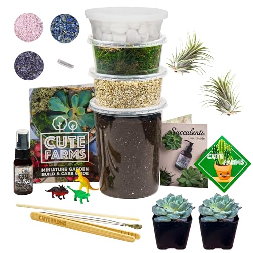 Terrarium Starter Kit | Moss, Vermiculite, Soil, Pebbles, Plant Food, & Finishing Tools (Large Kit + Live Plants + Crystals) - size: Large Kit + Live Plants + Crystals