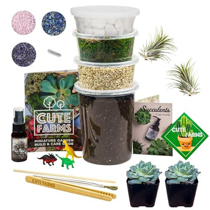 Terrarium Starter Kit | Moss, Vermiculite, Soil, Pebbles, Plant Food, & Finishing Tools (Large Kit + Live Plants + Crystals) - size: Large Kit + Live Plants + Crystals