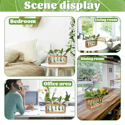 Glass Plant Propagation Station with 5 Test Tubes Colorful Planter Vase | Birthday Gifts for Women in Wooden Stand - color: Green