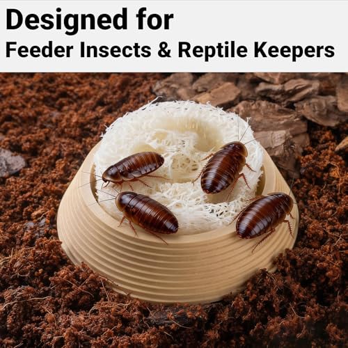 Dubia Roach Water Dish with 3 Luffa Inserts – Feeder Bowl for Dubia Roaches Live, Isopods, Springtails, Crickets & Other Feeder Insects – Reptile Supplies for Terrariums and Enclosures