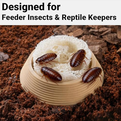 Dubia Roach Water Dish with 3 Luffa Inserts – Feeder Bowl for Dubia Roaches Live, Isopods, Springtails, Crickets & Other Feeder Insects – Reptile Supplies for Terrariums and Enclosures
