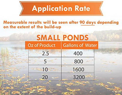 PondWorx Pond Bacteria - Formulated for Large Ponds, Water Features and Safe for Koi - Gallon - size: 1 Gallon (128oz)