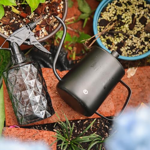 Watering Can for Indoor Plants, Black Water Can Spray Bottle 2 Pack | Long Spout Metal Stainless Steel 21 oz Watering Can with 14 oz Glass Plant Mister Spray Bottle for Plant Bonsai Water Can - color: Black Watering Can + Grey Spray Bottle
