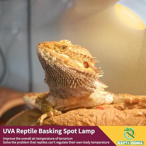 150W Reptile Heat Lamp Bulb,Basking Spot Lamp Bulb for Reptiles & Amphibians，Reptile Daylight Heat Bulb for Bearded Dragon, Lizard, Turtle - size: 150*1