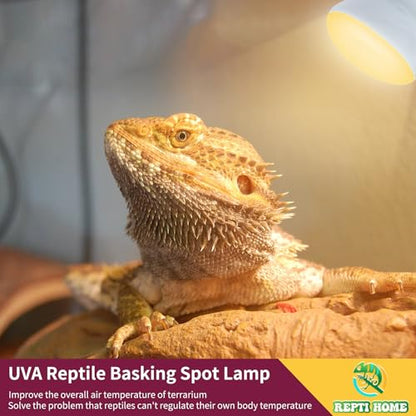 150W Reptile Heat Lamp Bulb,Basking Spot Lamp Bulb for Reptiles & Amphibians，Reptile Daylight Heat Bulb for Bearded Dragon, Lizard, Turtle - size: 150*1