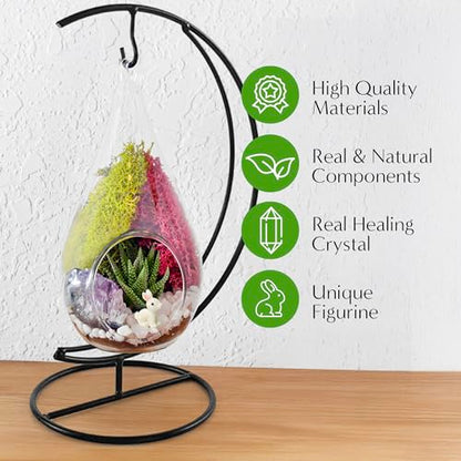 Creations by Nathalie DIY 7" Teardrop Terrarium Kit DIY Terrarium Kit with Live Succulent & Moss, Glass Terrarium Kit for Adults & Teens, Terrarium Moss Kit with Crystals, Handcrafted in the USA - color: Customizable Glass