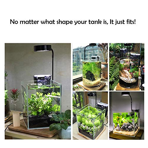 Full Spectrum LED Light with Bamboo Board, Fits Aquarium Nano Tank, Betta Fish Tank, Potted Plants, Succulents, Miniature Landscape – 5W - size: 5W