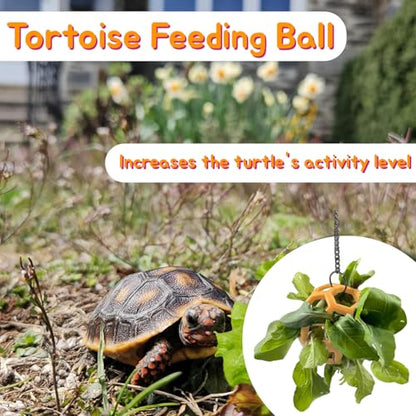 3 Pcs Turtle Tank Accessories, Tortoise Brush with Suction Cup, Feeder Ball