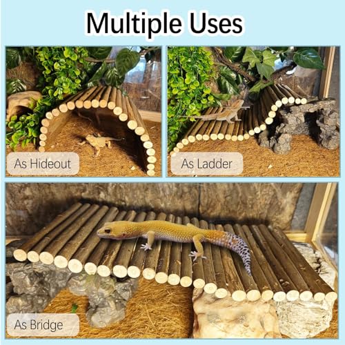 kathson 9PCS Leopard Gecko Tank Accessories,Reptile Hanging Plants and Vines Coconut Shell Hut with Ladder Habitat Decor for Climbing Bearded Dragon Lizard Snake Hermit Crab Chameleon - size: 9PCS