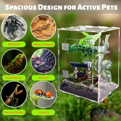 Large Jumping Spider Enclosure, Acrylic Ventilated Terrarium with Magnetic Front and Top Doors, 8.5x8.5x12 Inch, Transparent, Lockable (Large Size) - size: Large Size