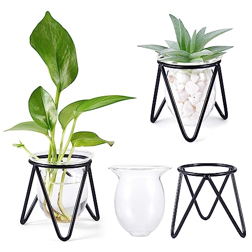 Jspupifip 3 Pcs Glass Plant Terrarium with Metal Stand | Air Plants Holders, Hydroponic Plant Vases, Desktop Bulb Glass Vase, Home Office Decor