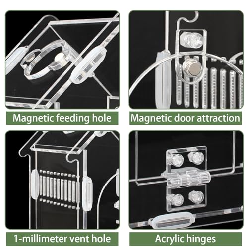 Acrylic Jumping Spider Enclosure Magnetic Lock Terrarium | Clear Acrylic Viewing, Dual Vents, Sloped Roof, 5.9x3.9x5.1", Tool-Free Assembly