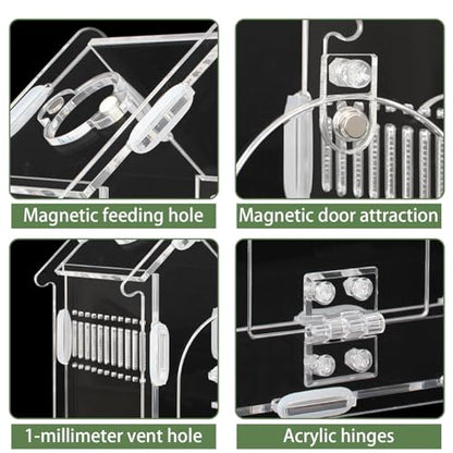 Acrylic Jumping Spider Enclosure Magnetic Lock Terrarium | Clear Acrylic Viewing, Dual Vents, Sloped Roof, 5.9x3.9x5.1", Tool-Free Assembly