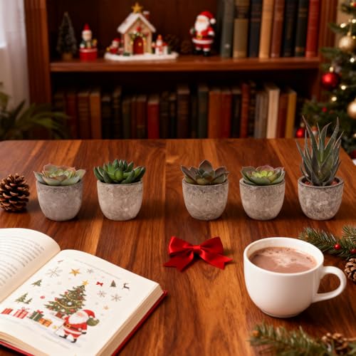 Artificial Succulent Plants Set, Low Maintenance Home Office Decor | Realistic faux succulent set, no water or sun. For desk, shelf, office, living room. Great gift for plant lovers.
