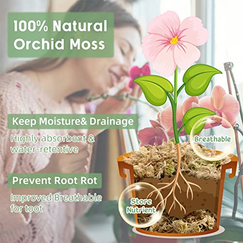 4.4LB Sphagnum Moss for Plants- 80QT Natural Long Fibers Orchid Moss | Moisture Retention & Drainage Balance, Plant Moss for Orchids, Succulents, Carnivorous, Ferns, Reptile Bedding & Terrariums - size: 80 QT(4.4 lb)