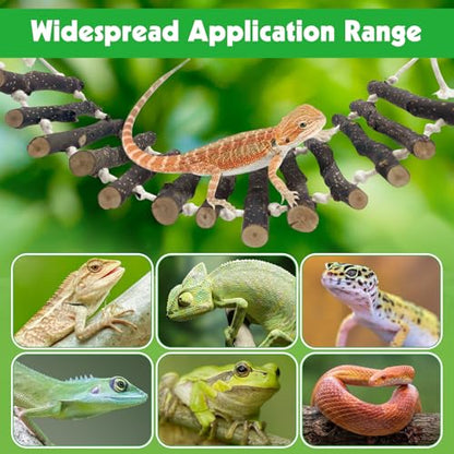 BNOSDM Large Reptile Bridge Hanging Bearded Dragon Climbing Ladder Suction Cup Lizard Lounger Wooden Gecko Tank Accessories for Chameleons Snakes Frog Hermit Crab (23.6 x 5.9 inches) - color: 1pc-Applewood