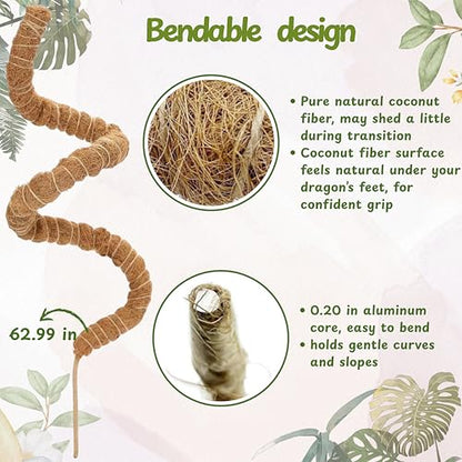 Bearded Dragon Climbing Bridge with Veggie Feeder Ball – Bendable Vine Enrichment Route for Large Tanks, Greens Intro Kit, Reptile/Lizard Tank Accessories (Salad Feeder Ball) - color: Salad Feeder Ball