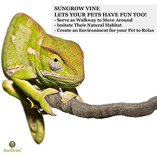 SunGrow 6 ft Reptile Vine for Terrarium, Flexible Climber Lizard Tank Decor, Ball Python Snake Climbing Accessories, Twistable and Bendable Habitat Decor Terrarium Vines for Chameleon, Bearded Dragon