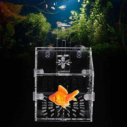Fish Isolation Breeder Box, Clear Acrylic Breeding Incubator with Divider and Dual Mounting for Aquarium Fish Tank Transparent 3.94 x 3.86 x 3.94 in 1 Pack