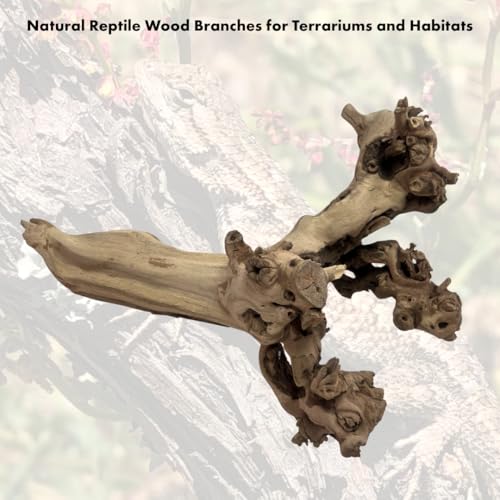 Koyal Wholesale 12" Sandblasted Grapevine Wood for Hamsters, Reptiles Terrarium, Exotic Untreated Grapewood Branch for Decoration Home Wedding DIY - size: 12" Grapevine