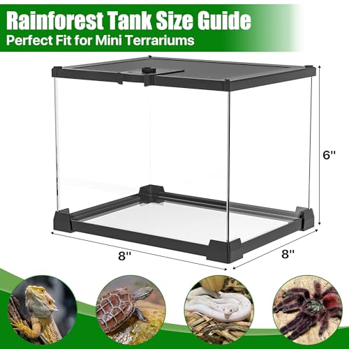 Mini Glass Reptile Enclosure Terrarium 8"x8"x6" | Top-Opening Mesh Lid with Feeding Hole, Fully Assembled Tank for Tarantulas, Isopods,Froglets & Tiny Reptiles - size: 8" x 8" x 6"