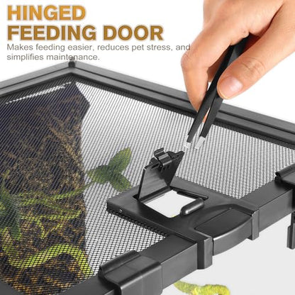 Mini Reptile Glass Terrarium Vivarium 8'' x 8'' x 6'', Full View Tank for Small Arthropod Pets Such as Pumpkin Patch Tarantulas, with Feeding Slot & Box Lock Buckle - size: 8"D X 8"W X 6"H
