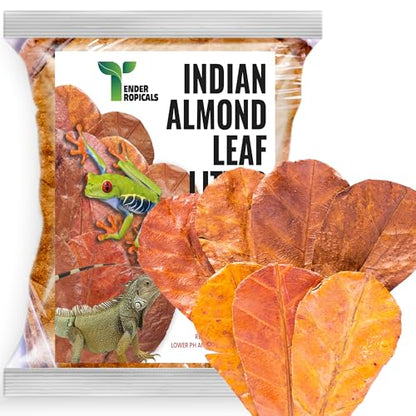 Frog Tank Accessories – 100 Pcs 3" Indian Almond Catappa Leaves, Natural Leaf Litter for Tree Frogs, Bioactive Terrarium Accessories, Amphibian Habitat Decor