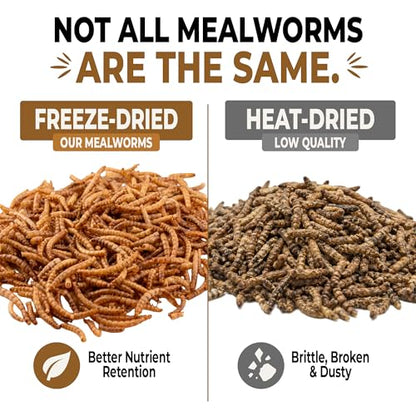 Freeze-Dried Mealworms – High-Protein Treat for Reptiles, Birds & Insect-Eating Pets – 2.6 oz Jar
