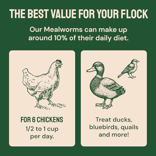 Hatortempt 5lb Dried Mealworms for Chickens & Wild Birds, Chicken Feed | High-Protein Chicken Food - Meal Worms Fed an Organic Diet - Hand Inspected Treats for Laying Hens & Ducks - 2 Yr Shelf Life - size: 5 Pound (Pack of 1)