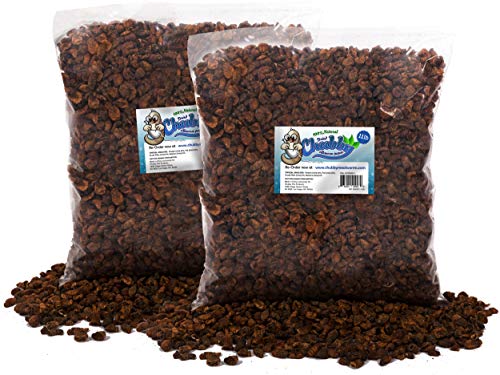 Chubby Dried Silkworm Pupae, 22 lbs | High-Protein Treat, For Koi, Fish, Reptiles & Terrapins, Nutrient-Rich, Calcium Snack - size: 22 Pound (Pack of 1)