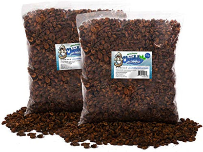 Chubby Dried Silkworm Pupae, 22 lbs | High-Protein Treat, For Koi, Fish, Reptiles & Terrapins, Nutrient-Rich, Calcium Snack - size: 22 Pound (Pack of 1)