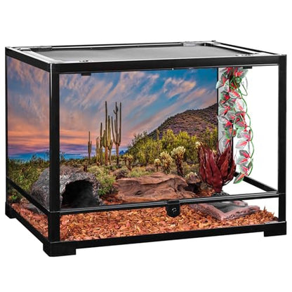 AWERT 48x20 inches Terrarium Background Blue Sky Cloud Huge Cactus Oasis Gobi Reptile Habitat Background Vinyl - size: 48x20in/120x50cm