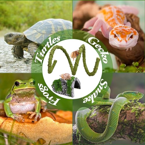 2Pcs Hermit Crab Climbing Toys Set, 39.4 in Bendable Hermit Crab Supplies, Reptile Vine Plus Reptile Hide Cave,Terrarium Accessories for Gecko Frogs Snake Habitat