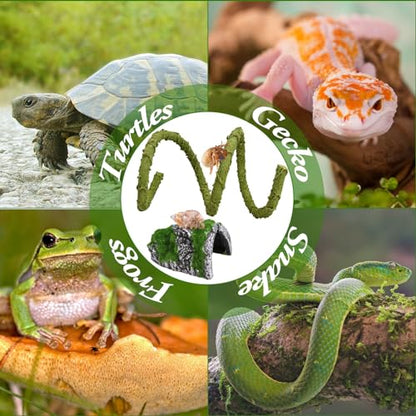 2Pcs Hermit Crab Climbing Toys Set, 39.4 in Bendable Hermit Crab Supplies, Reptile Vine Plus Reptile Hide Cave,Terrarium Accessories for Gecko Frogs Snake Habitat