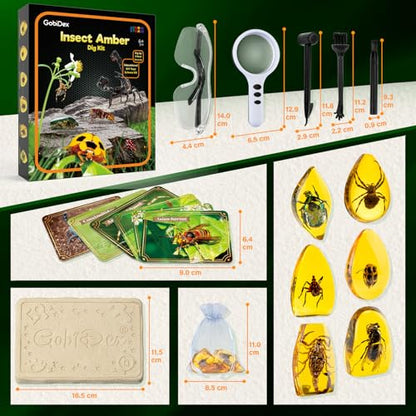 GobiDex Amber Dig Kit for Kids Ages 6+, Excavate 6 Insects Specimens | STEM Geographic Educational Bugs Toys, Excavation Toys for Fun Bugs Party Favors, Science Kits for Kids Age 6-8 8-12