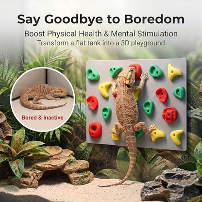 2-Pack Climbing Wall for Reptiles, Terrarium Habitat Decor | 2PCS Climbing Wall for Reptiles for bearded dragons, leopard geckos, habitat decor & enrichment