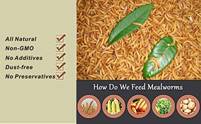 Non-GMO Dried Mealworms 6LB, 100% Natural Large Size No Moisture,Treats for Birds Chickens Hedgehog Hamster Fish Reptile Turtles (6lb) - size: 6 Pound (Pack of 1)