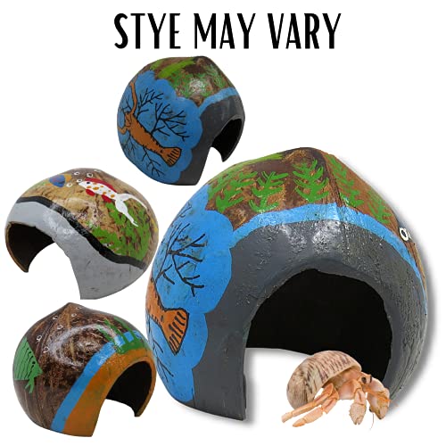 Needzo DIY Hermit Crab Habitat Starter Kit with Calci Food Blocks, Choya Wood, Coral Pieces, Large Coconut Hut, Crossing Bridge, Thermometer, Food & Treat Pouch, All in One Pet Supplies, 10 Items