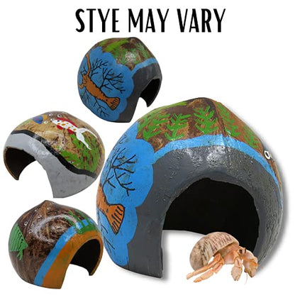 Needzo DIY Hermit Crab Habitat Starter Kit with Calci Food Blocks, Choya Wood, Coral Pieces, Large Coconut Hut, Crossing Bridge, Thermometer, Food & Treat Pouch, All in One Pet Supplies, 10 Items