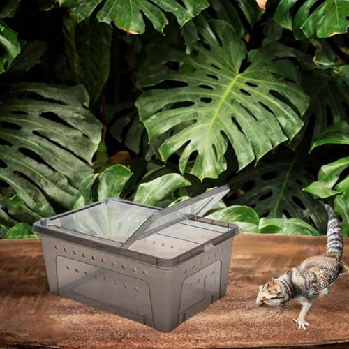 Reptile Feeding Box Climbing Pet Breeding Box Portable with Small Vents Turtle Transport Container Hatching Case for Scorpion, Black